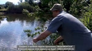 Окунь и плотва на косынку и экраны ! Рыба ловится на ура ! Идеальная рыбалка с семьёй .