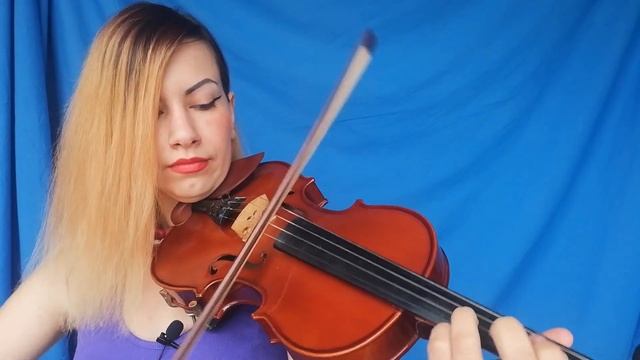 Какая скрипка лучше или как выбрать скрипку?