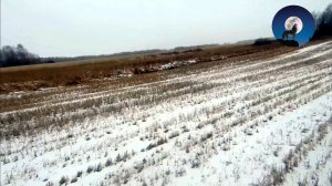 ЭКСПРЕСС ОХОТА НА ЗАЙЦА