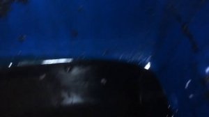 Замена масла в переднем редукторе Subaru legacy