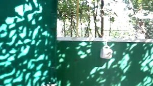 Продаю частный дом в русской части г. Слободзея, 3-я ч.