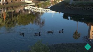 Panasonic Lumix S1 10 bit HDR