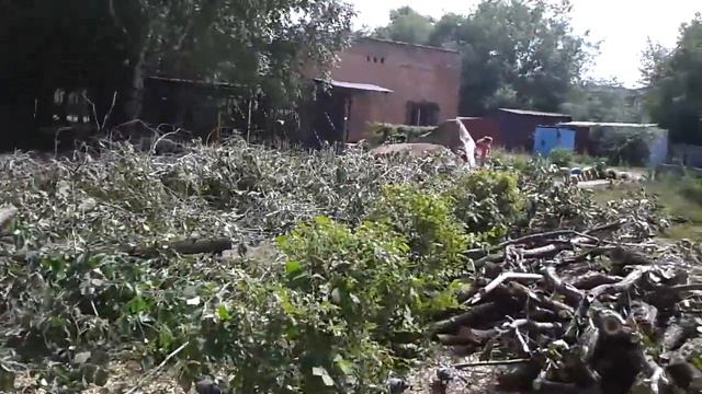усть каменогорск  спилили  деревья на Виноградова 18 смотреть онлайн