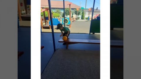 тематическая неделя Дикие животные