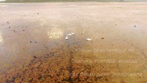 Варнавинское водохранилище