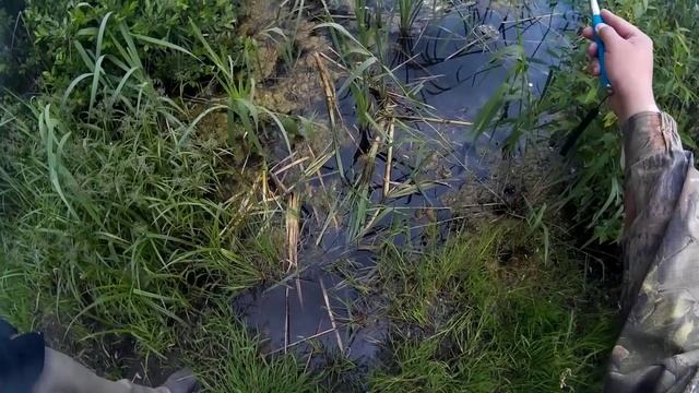 Ловим рыбу палкой для селфи! смотреть онлайн