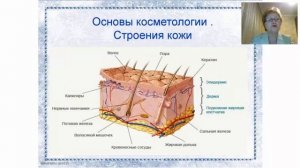 От чего зависит состояние кожи?Факторы,влияющие на состояние кожи.Основные этапы ухода за кожей лиц