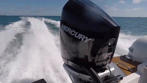 2020 Mercury Verado 300 V8 fitted to stingher 800GT full power run