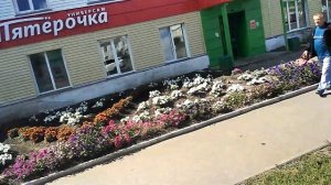 Россия Курганская область 45 Варгаши петёрочка