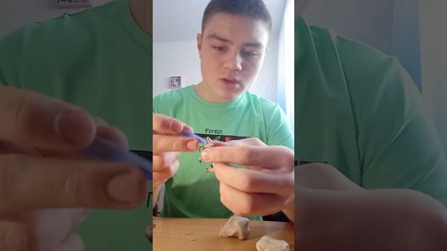 Динозавры. Лепка из пластилина. Лепим Велоцираптора из пластилина