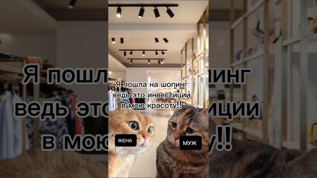 Куда уходят все деньги на инвестиции ?♂️?