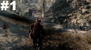 ▶The Elder Scrolls V: Skyrim. Отголоски. #1