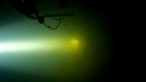 Подводная охота. Река Тускарь, г. Курск, 31.03.2020