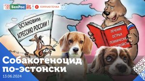 Горячая точка | Собакогеноцид по-эстонски