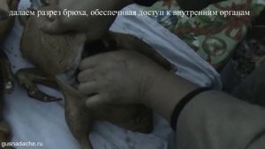 Как разделать утку