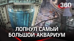 В поисках Немо: в Берлине лопнул самый большой в мире аквариум