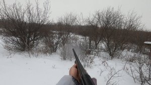 "Как быстрый ГОЛ" Охота на ЗайЦа в Саратовской области