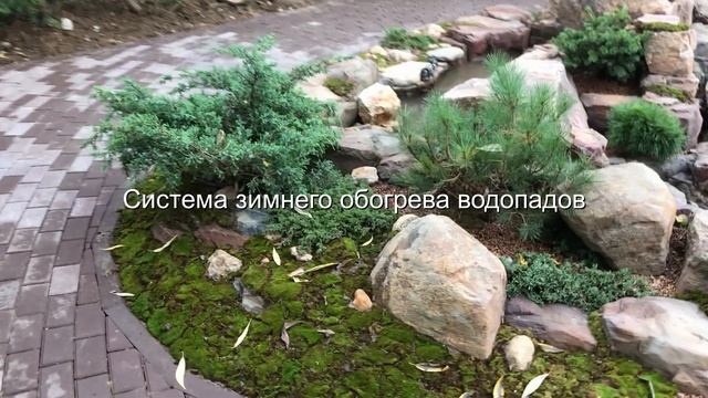 Мини-пруд с альпийской горкой и водопадами. Натуральная Экосистема. Альпинарий. #ЛандшафтныйДизайн