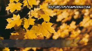 Ибрахим Аль Асири✅сура 9✅ Тауба (Покаяние)81-87аяты