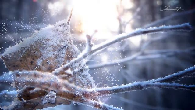 Демо ролик. Видео + 3D. www.v-zor.com смотреть онлайн