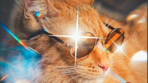 А ты милый мой кудряшка #рекомендации #рек #музыка #симбочка