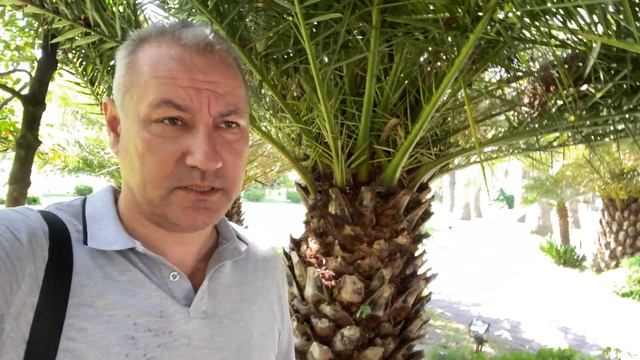 В Крыму отменили Обсерватор.А чего в Сочи происходит? Сезон будет сорван ? смотреть онлайн