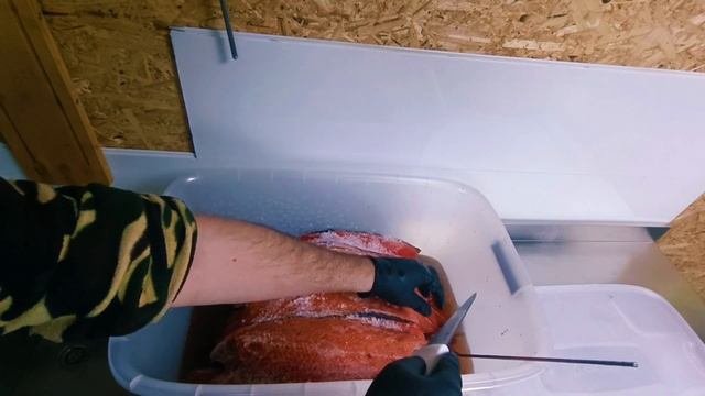 КИЖУЧ ХОЛОДНОГО КОПЧЕНИЯ В КОПТИЛЬНЕ ОТ КОМПАНИИ МОСКИТ, ПОДРОБНЫЙ РЕЦЕПТ!!!