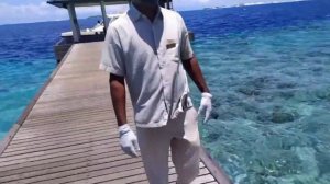 HONEYMOON Stay in Maldives || Embudu Village Resort || 12 March 2021 ||