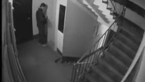 Нагадил в подъезде. Видео с камеры наблюдения