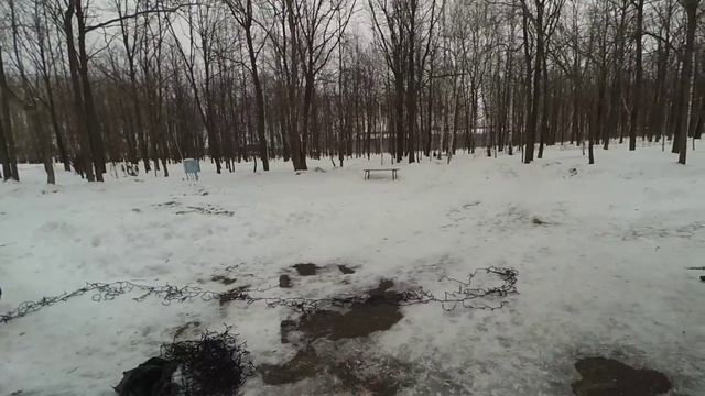 Зима в парке 2016-4D,день здоровья,лыжня России,Золотая шайба