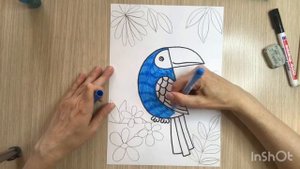 Попугай рисунок. Как нарисовать попугая. Как нарисовать тропическую птичку. Птичка рисунок пошагово