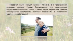 Медвежья желчь. Размышления о природе в человеке