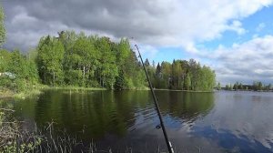 Машезеро. Рыбалка  на поплавок. #рыбалка #капитанандрейфёдоров