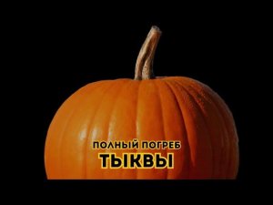 Тыквы. Полный погреб //  Выпуск 3