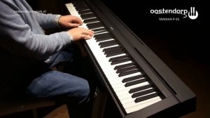 Yamaha P-35 | Sound Demo | Digital Piano