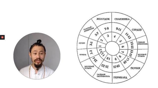 Меридианы китайская медицина. Активность меридианов и биоритмы. смотреть онлайн