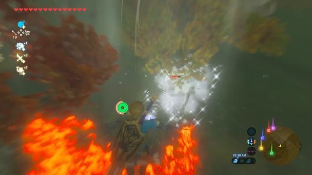 THE LEGEND OF ZELDA: Breath Of The Wild FOR BEGINNERS