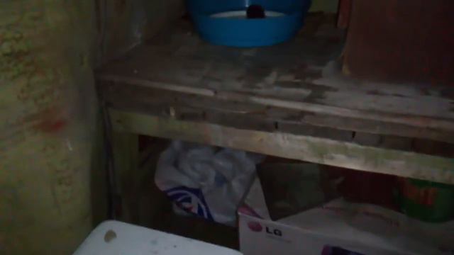 К НАМ НА БАЛКОН УПАЛ ПТЕНЕЦ! СМОТРЕТЬ ВСЕМ ЛЮБИТЕЛЯМ ЖИВОТНЫХ (ПТИЦ) смотреть онлайн