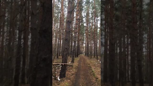 Капитал - что это? смотреть онлайн