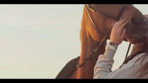 Конники и лошади / Дом конника