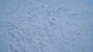 Летняя солярка зимой (тест антигеля тритон)