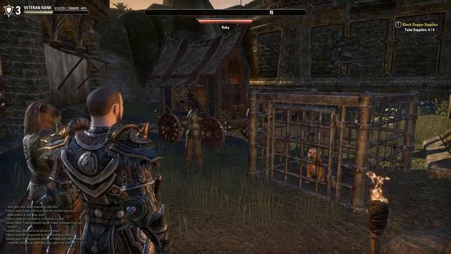 Funny Khajiit lady in Khenarthi's Roost смотреть онлайн