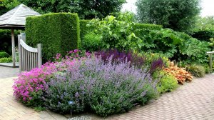 ?50+ Классных Идей для Украшения Сада / Garden design and decoration ideas / A - Video