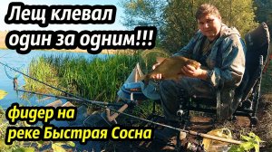 Лещ клевал один за одним... Рыбалка на реке Быстрая Сосна