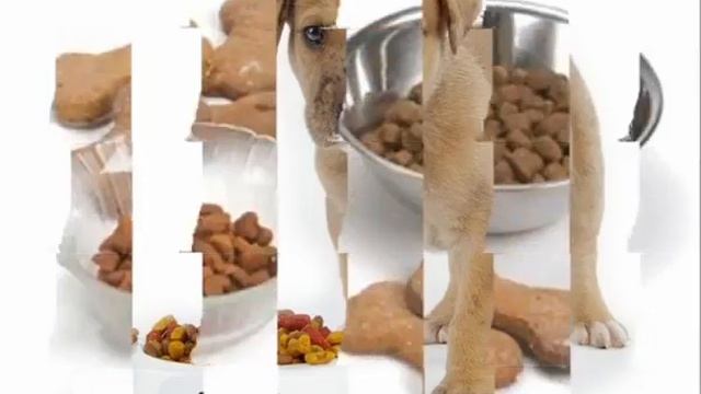 Сухой корм для стерилизованных собак