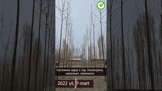 10 сотих ердан қанча даромад қилиш мумкин? смотреть онлайн