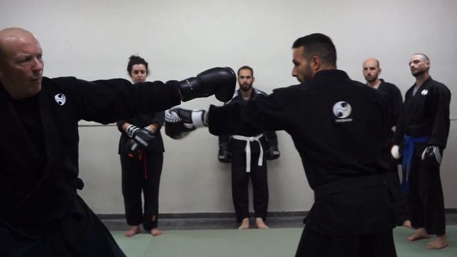 Spring seminar 11 May 2019- Ninjutsu striking with a metronome смотреть онлайн