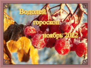 Водолей! Гороскоп на ноябрь 2022 года!