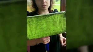 Моем окна универсальной шваброй Гринвей.
