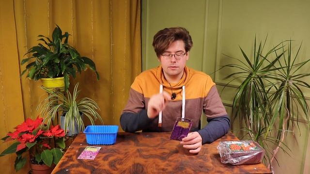 Январские посевы: высаживаем примулу и дельфиниум смотреть онлайн